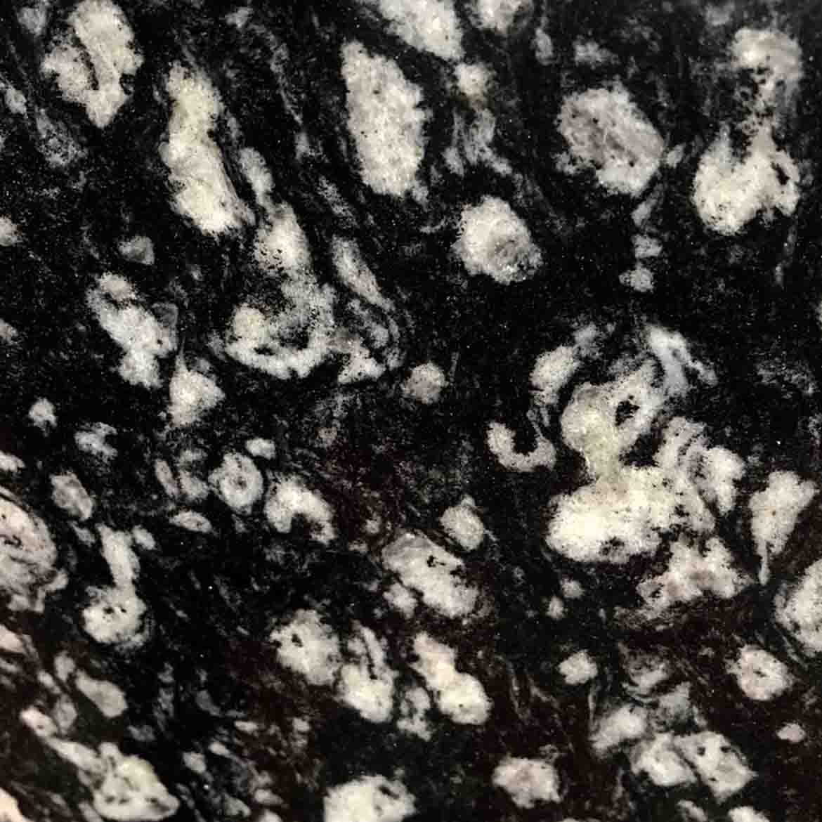 Coin Black